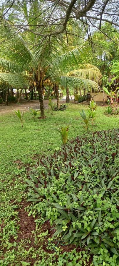 Selong Belanak Bungalows Εξωτερικό φωτογραφία